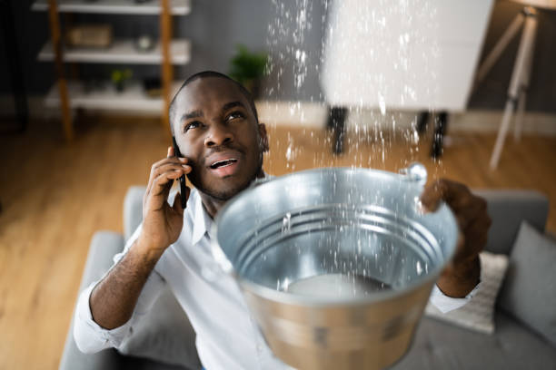Best Flood damage cleanup  in Minnetrista, MN