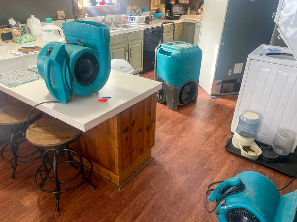 Best Water damage restoration near me  in Minnetrista, MN