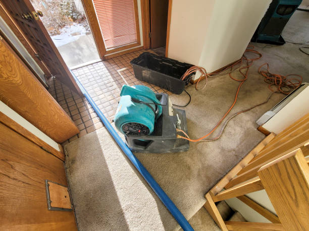 Best Water damage restoration mold remediation  in Minnetrista, MN