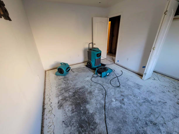 Best Sewage cleanup and water damage restoration  in Minnetrista, MN
