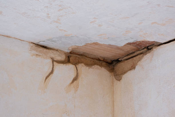 Professional Water damage restoration in Minnetrista, MN