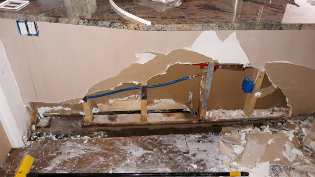Best Residential water damage restoration  in Minnetrista, MN