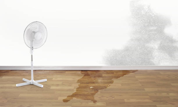 Best 24-hour water damage restoration  in Minnetrista, MN