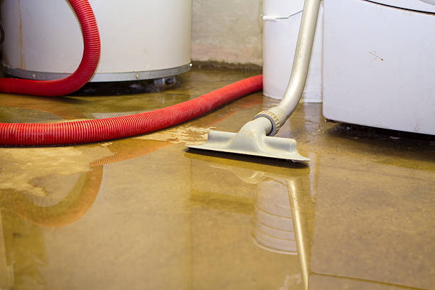 Best Water damage cleanup near me  in Minnetrista, MN