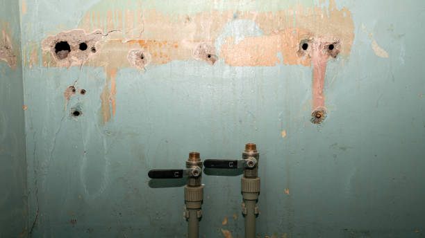 Best Commercial water damage restoration  in Minnetrista, MN