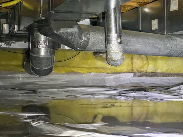 Best Water damage contractors near me  in Minnetrista, MN