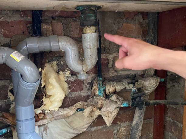 Best Carpet water damage restoration  in Minnetrista, MN