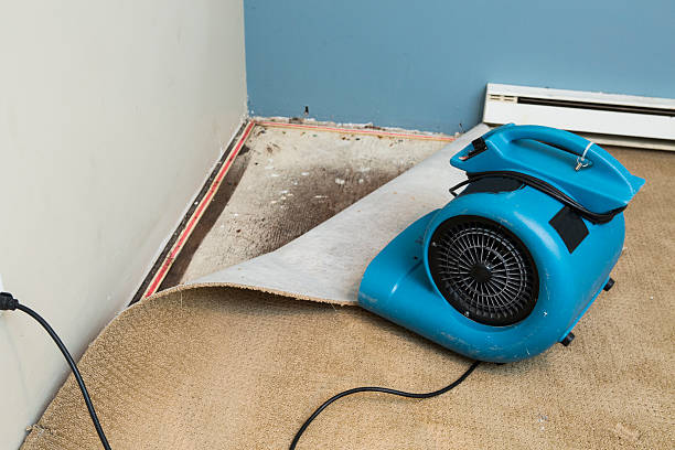 Water damage restoration mold remediation in Minnetrista, MN